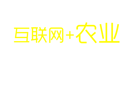 玉米周期
