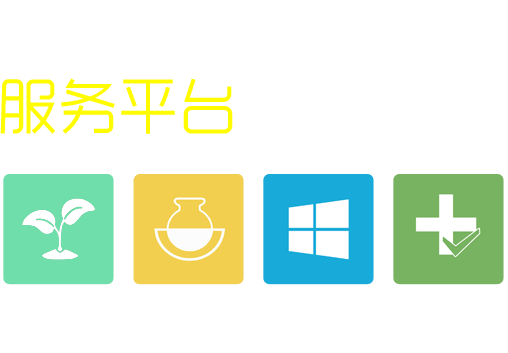 玉米周期
