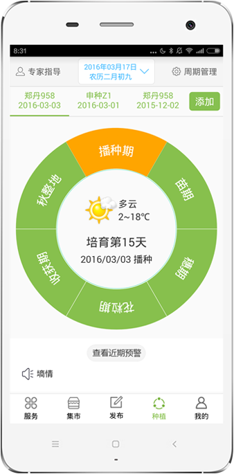 玉米周期