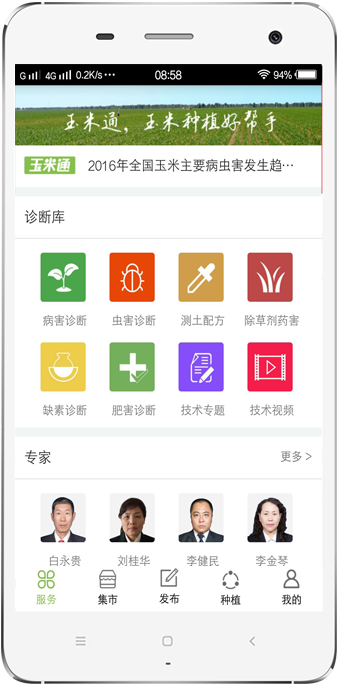 玉米周期